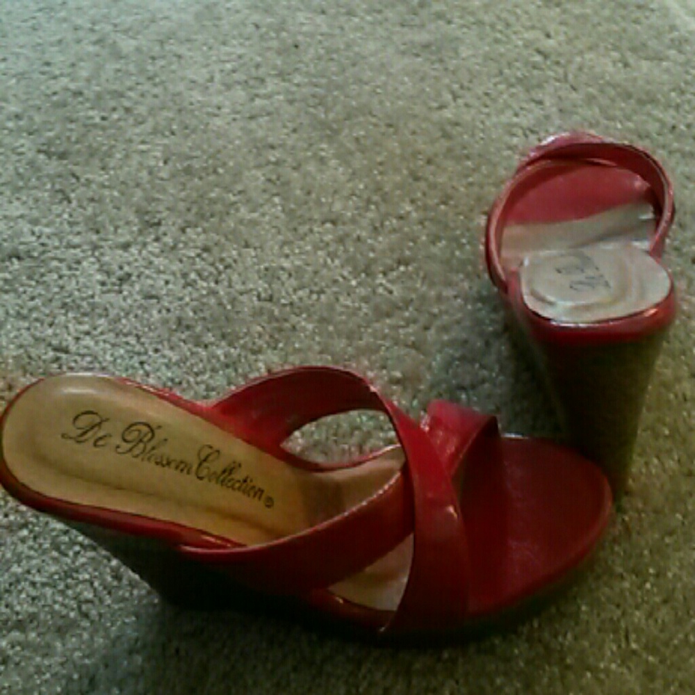 Red wedges